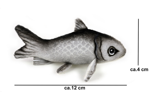 kleiner Hering (Sprotte) ca. 12 cm